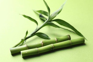 Photo of Cut bamboo stems and leaves on light green background, closeup