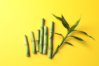 Photo of Cut bamboo stems and leaves on yellow background, flat lay