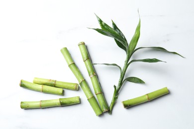 Photo of Wet cut bamboo stems and leaves on white marble table, flat lay