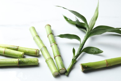 Photo of Wet cut bamboo stems and leaves on white background, closeup