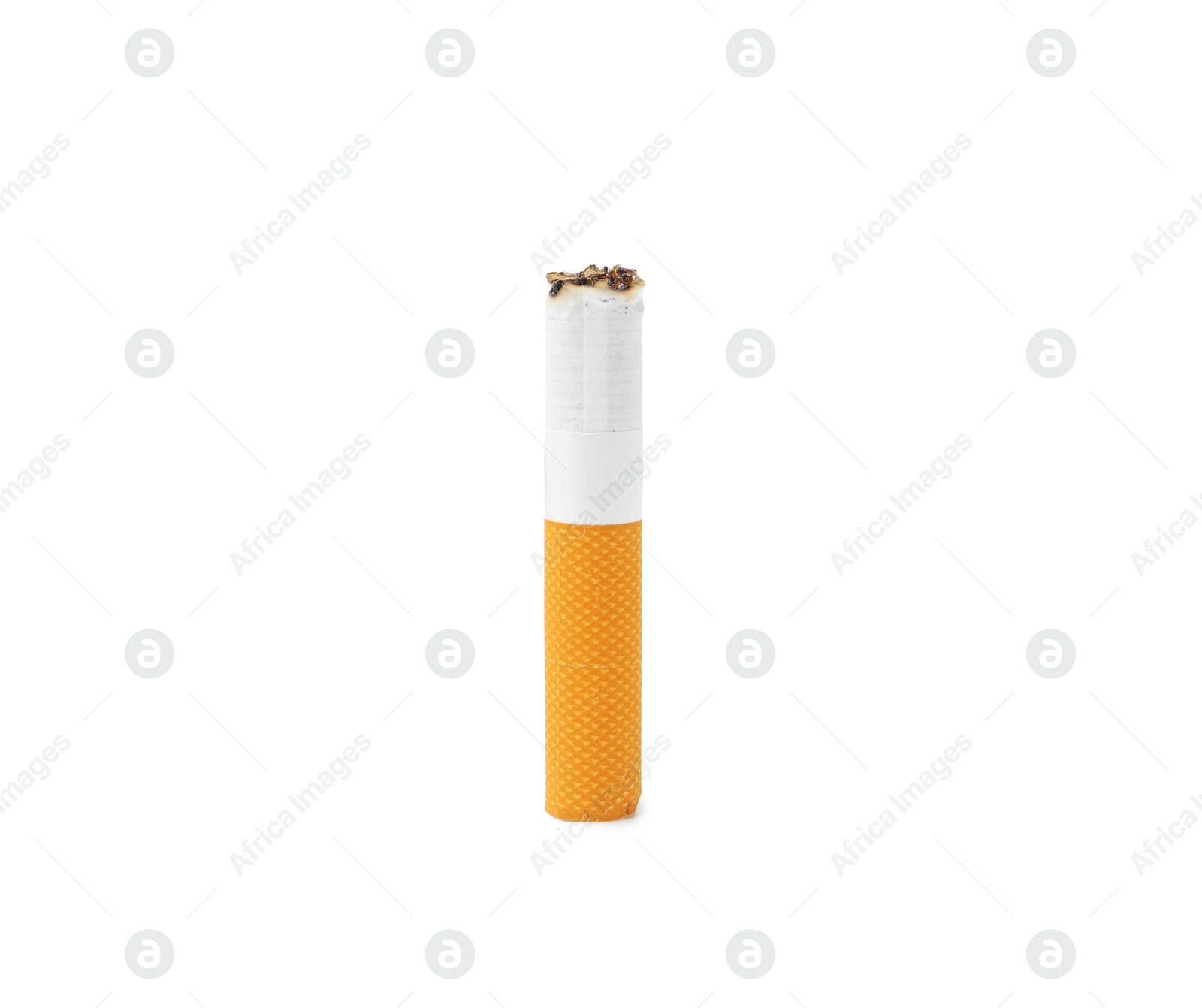 Photo of One cigarette butt isolated on white. Smoking habit