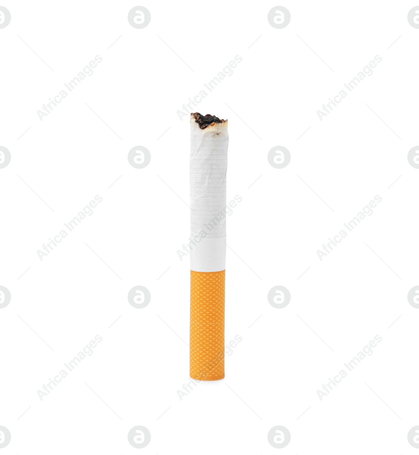 Photo of One cigarette butt isolated on white. Smoking habit