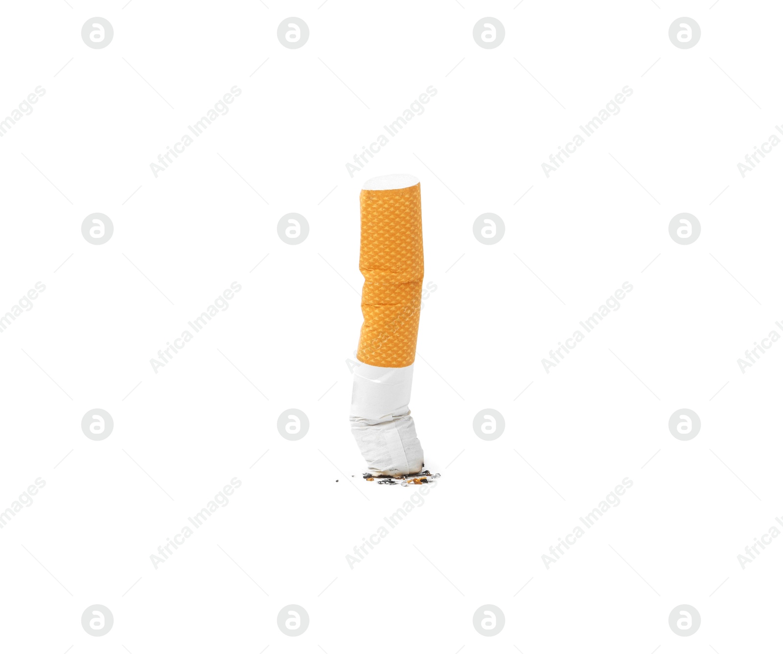 Photo of One cigarette butt isolated on white. Smoking habit