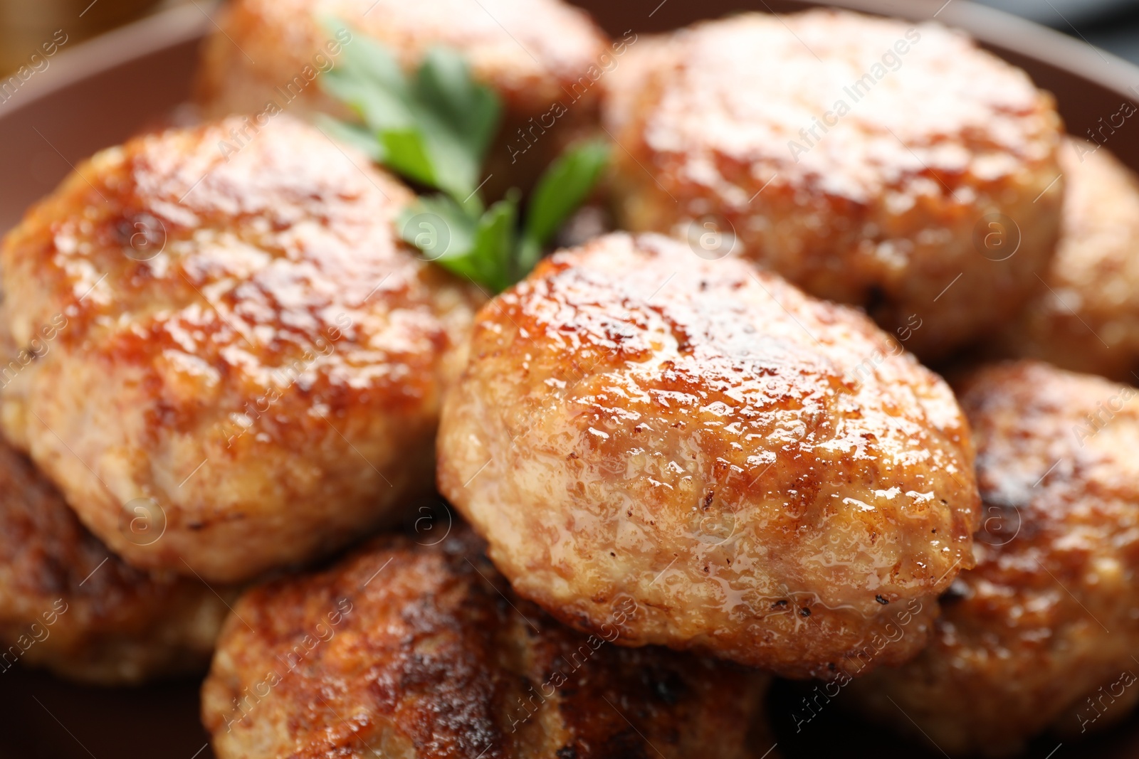 Photo of Delicious patties with parsley on plate, closeup