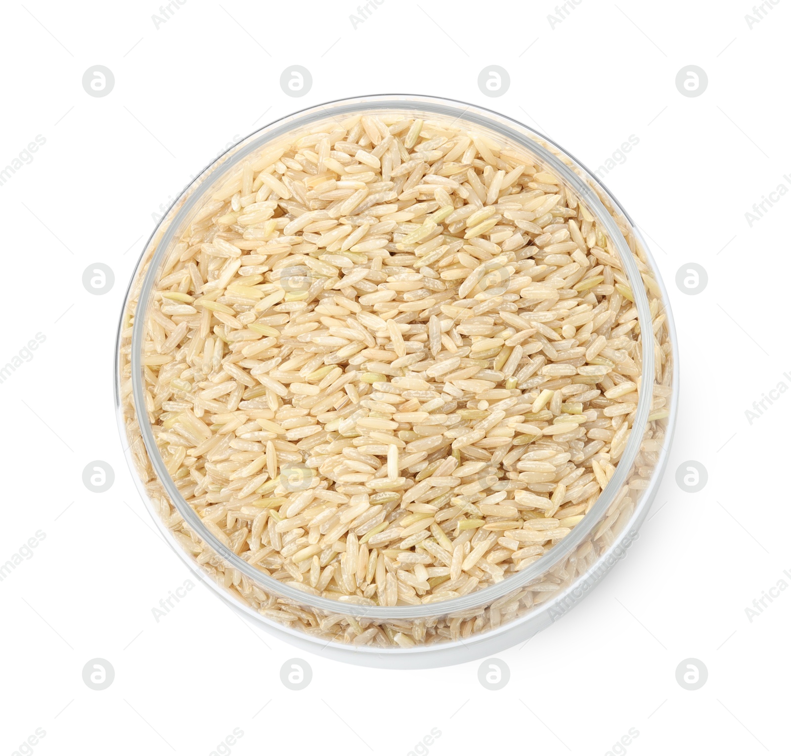 Photo of Raw brown rice in open jar isolated on white, top view