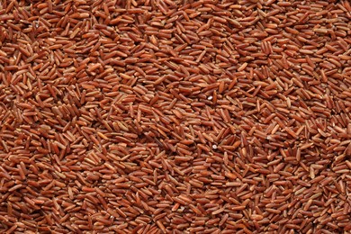 Photo of Pile of brown rice as background, top view