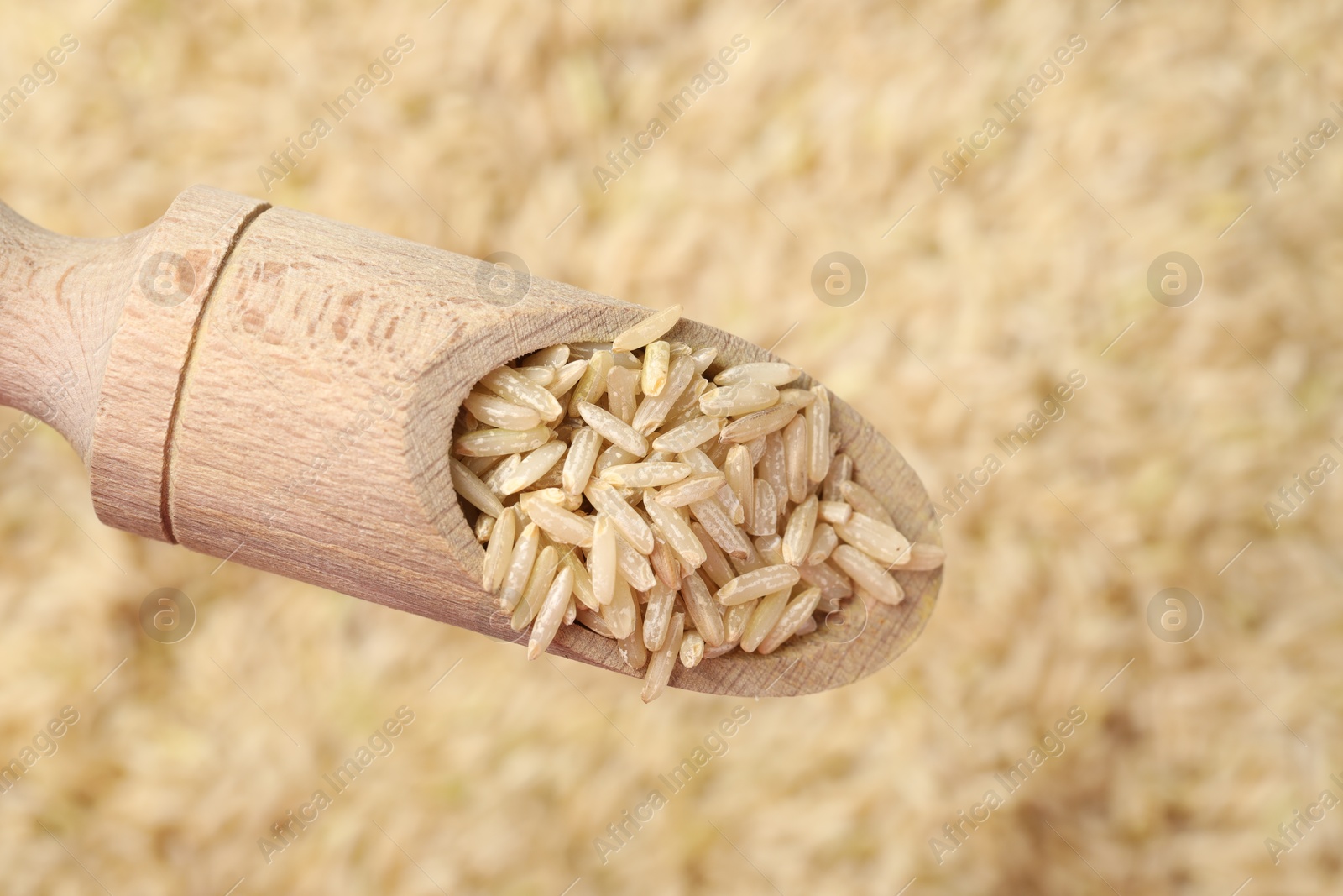 Photo of Brown rice in wooden scoop over pile of grains, top view