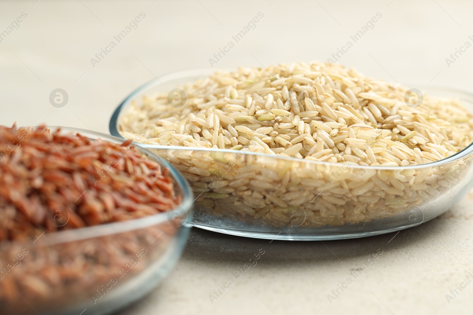 Photo of Different types of brown rice in glass bowls on light grey table, closeup