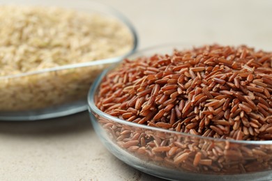 Photo of Different types of brown rice in glass bowls on light grey table, closeup