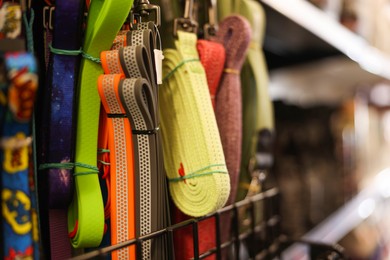 Photo of Different leashes on display in pet shop, closeup. Space for text