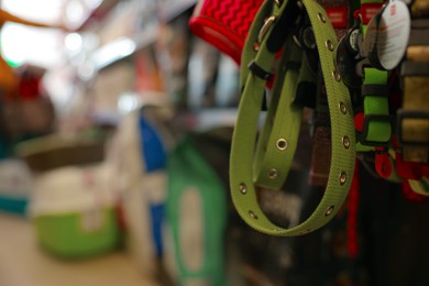 Photo of Different leashes on display in pet shop, closeup. Space for text