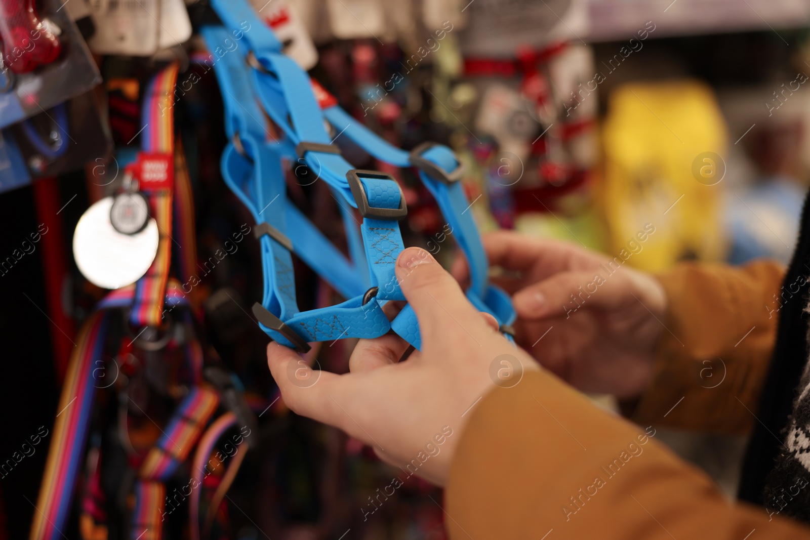 Photo of Woman choosing leash in pet shop, closeup