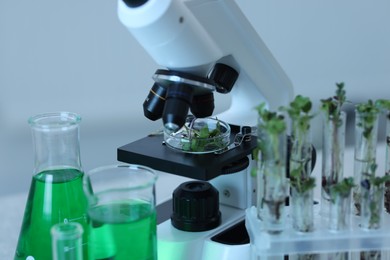 Photo of Biochemistry. Glassware with different liquids, plants and microscope in laboratory, closeup