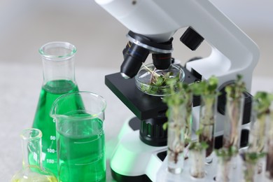 Photo of Biochemistry. Glassware with different liquids, plants and microscope in laboratory, closeup