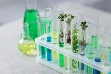 Photo of Biochemistry. Glassware with different liquids and plants on light grey table in laboratory, closeup