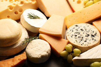 Photo of Different types of cheese, rosemary and grapes on table, closeup