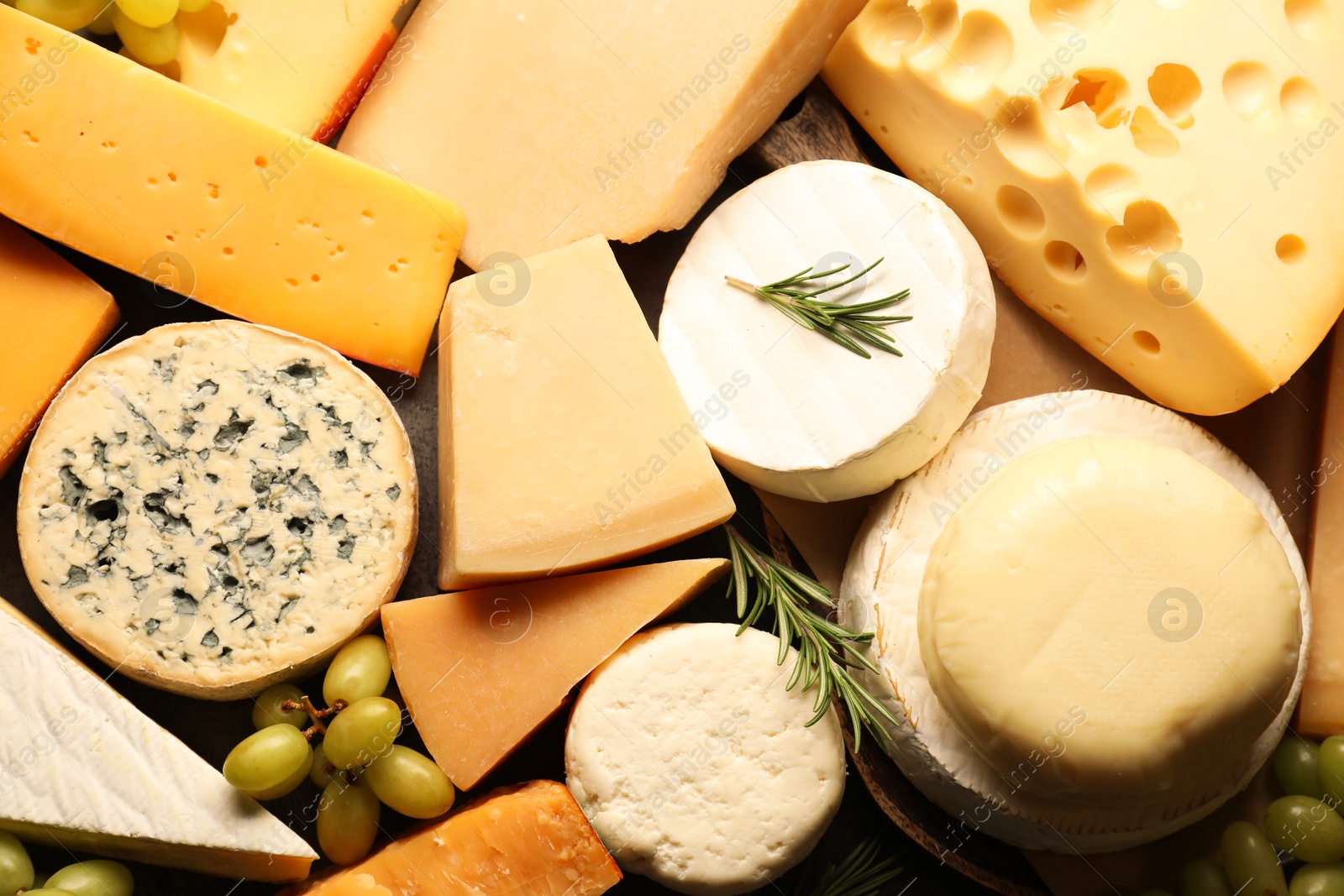 Photo of Different types of cheese, rosemary and grapes on table, flat lay