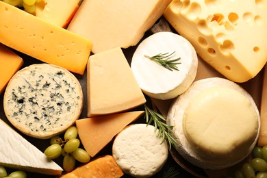 Photo of Different types of cheese, rosemary and grapes on table, flat lay