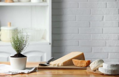 Photo of Different types of cheese, slicer and potted thyme on wooden table indoors. Space for text