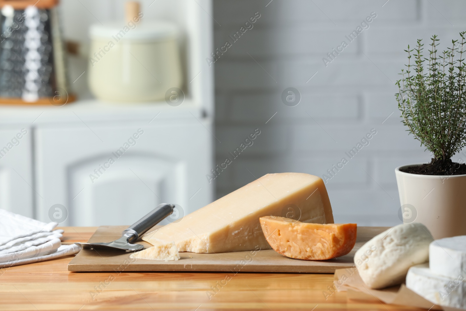 Photo of Different types of cheese, slicer and potted thyme on wooden table indoors