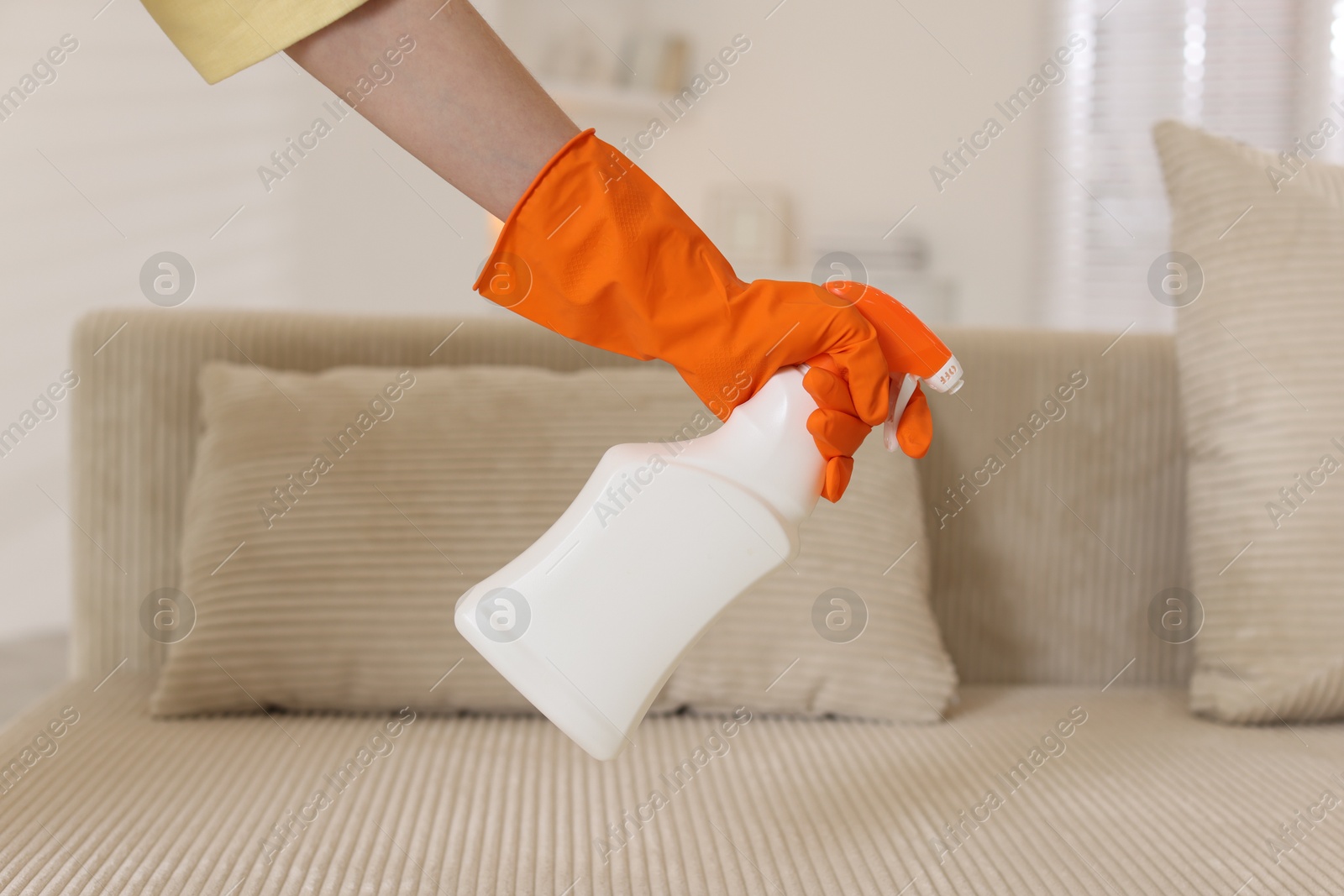 Photo of Woman in glove spraying cleaner onto sofa at home, closeup