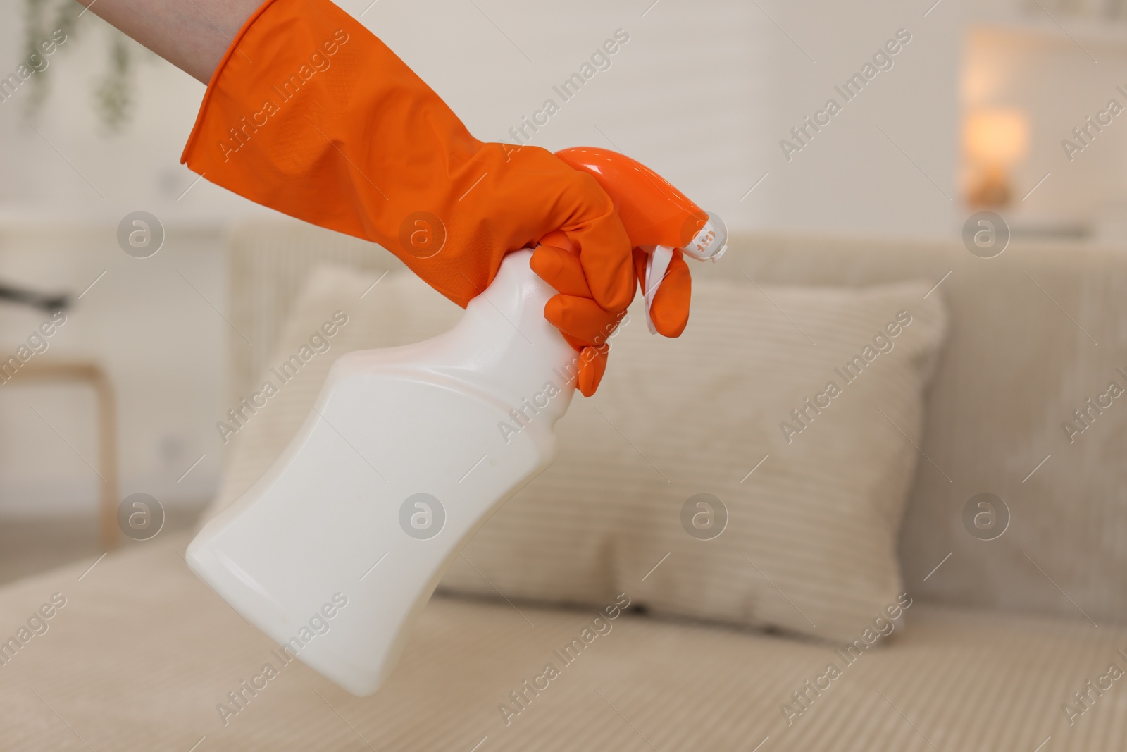 Photo of Woman in glove spraying cleaner onto sofa at home, closeup. Space for text