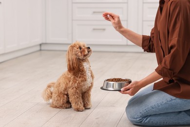 Photo of Owner feeding her cute dog with dry pet food indoors, closeup