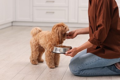 Photo of Owner feeding her cute dog with dry pet food indoors, closeup