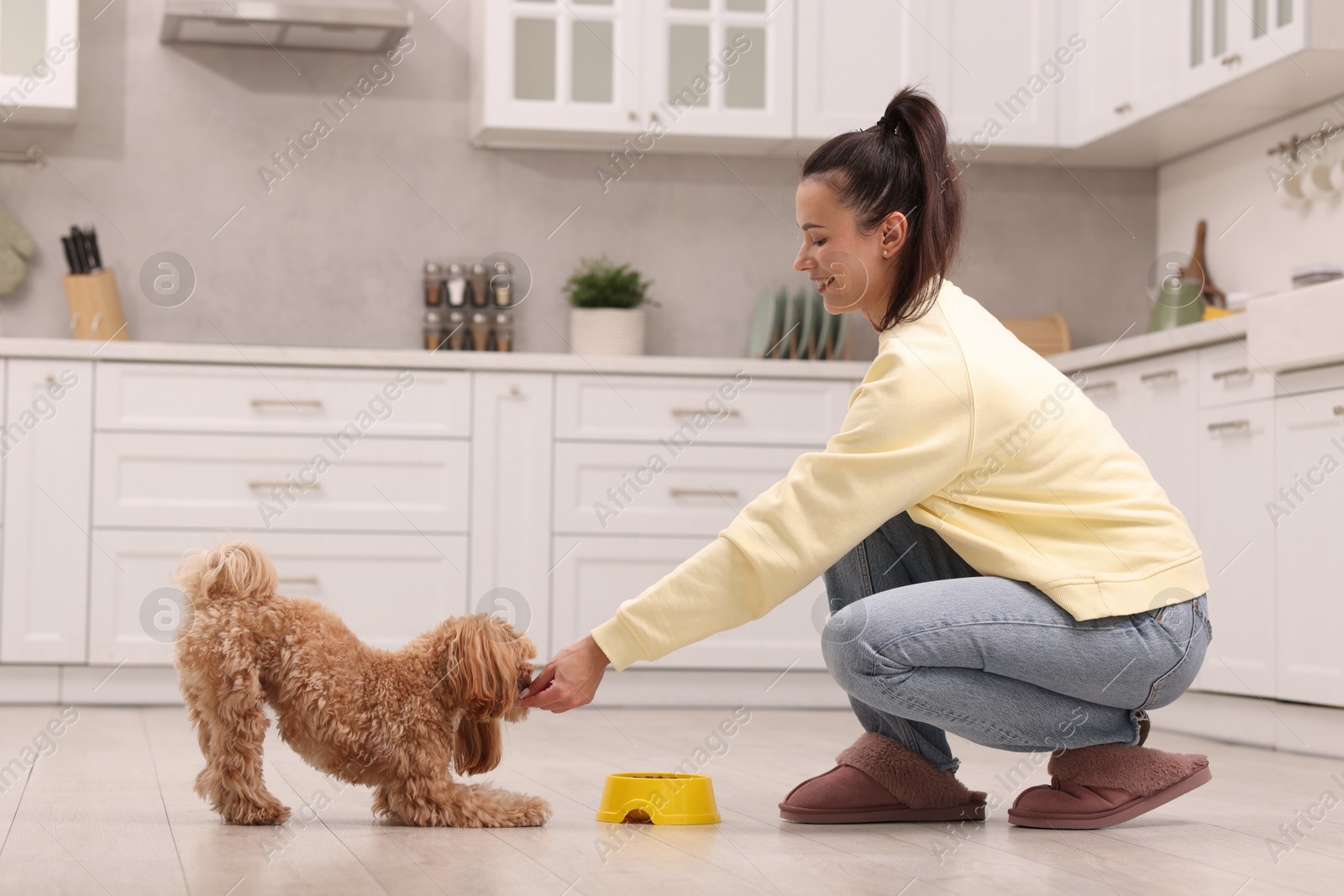 Photo of Smiling owner feeding her cute pet in kitchen