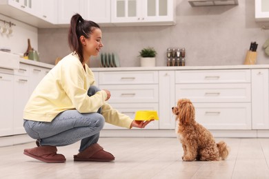 Photo of Smiling owner giving bowl with pet food to her cute dog in kitchen