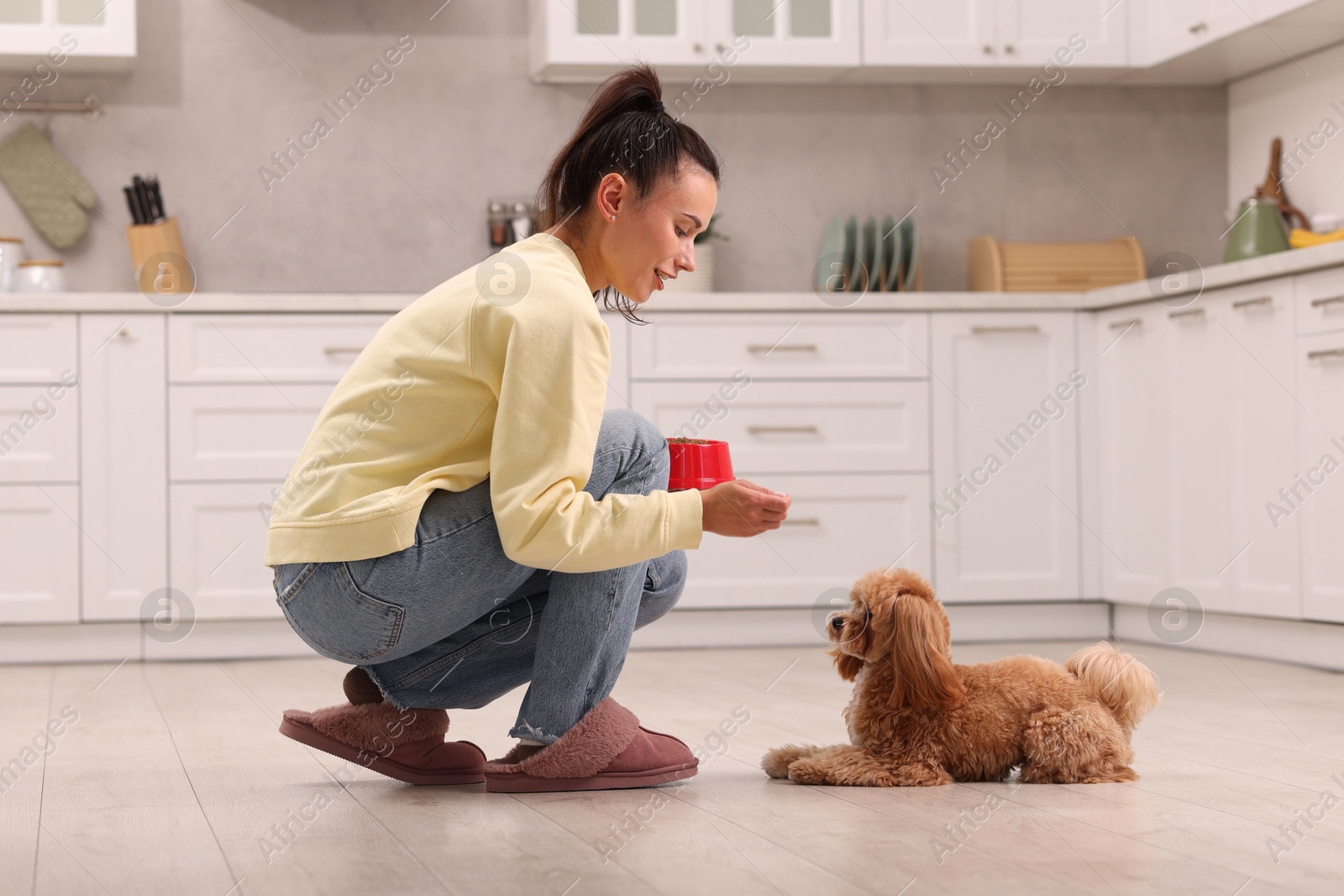 Photo of Smiling owner feeding her cute pet in kitchen