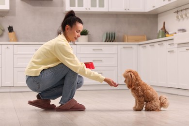 Photo of Smiling owner feeding her cute pet in kitchen