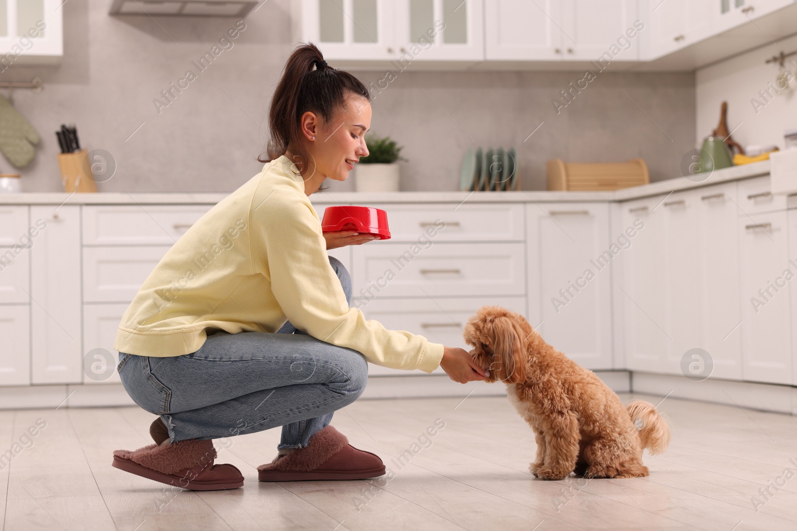 Photo of Smiling owner feeding her cute pet in kitchen