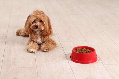 Photo of Feeding bowl with dry pet food and cute dog on floor at home