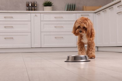 Photo of Cute dog waiting for pet food near feeding bowl at home. Space for text