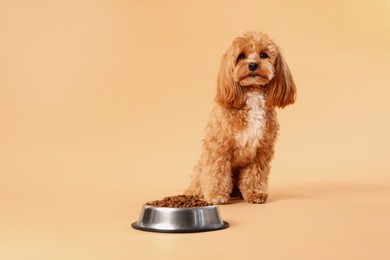 Photo of Feeding bowl with dry pet food and cute dog on beige background. Space for text