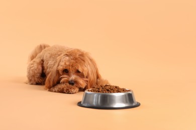 Photo of Feeding bowl with dry pet food and cute dog on beige background. Space for text