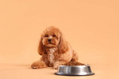 Photo of Feeding bowl with dry pet food and cute dog on beige background