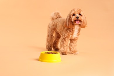 Photo of Feeding bowl with dry pet food and cute dog on beige background. Space for text