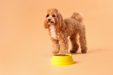 Photo of Feeding bowl with dry pet food and cute dog on beige background. Space for text