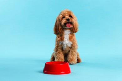 Photo of Feeding bowl with dry pet food and cute dog on light blue background