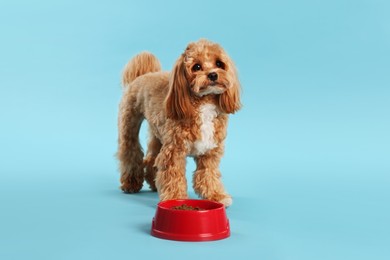 Photo of Feeding bowl with dry pet food and cute dog on light blue background