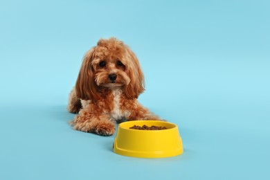 Photo of Feeding bowl with dry pet food and cute dog on light blue background