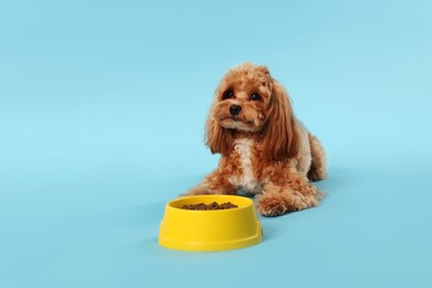 Photo of Feeding bowl with dry pet food and cute dog on light blue background