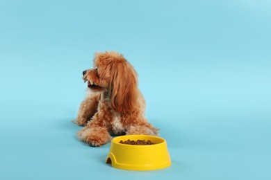 Photo of Feeding bowl with dry pet food and cute dog on light blue background