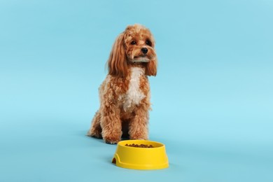 Photo of Feeding bowl with dry pet food and cute dog on light blue background