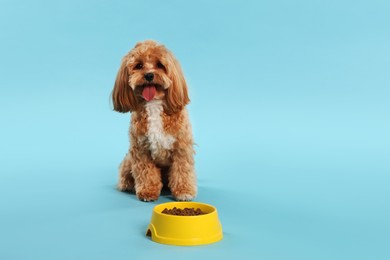 Photo of Feeding bowl with dry pet food and cute dog on light blue background. Space for text