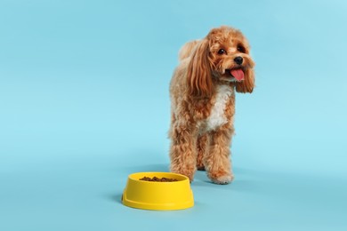 Photo of Feeding bowl with dry pet food and cute dog on light blue background. Space for text