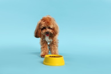 Photo of Feeding bowl with dry pet food and cute dog on light blue background. Space for text