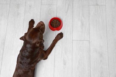 Photo of Cute dog lying near bowl of dry pet food on floor indoors, top view. Space for text